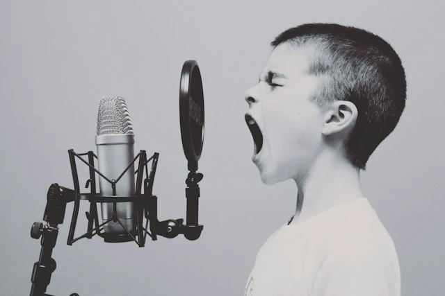 What is Brand Voice? -Brandemic