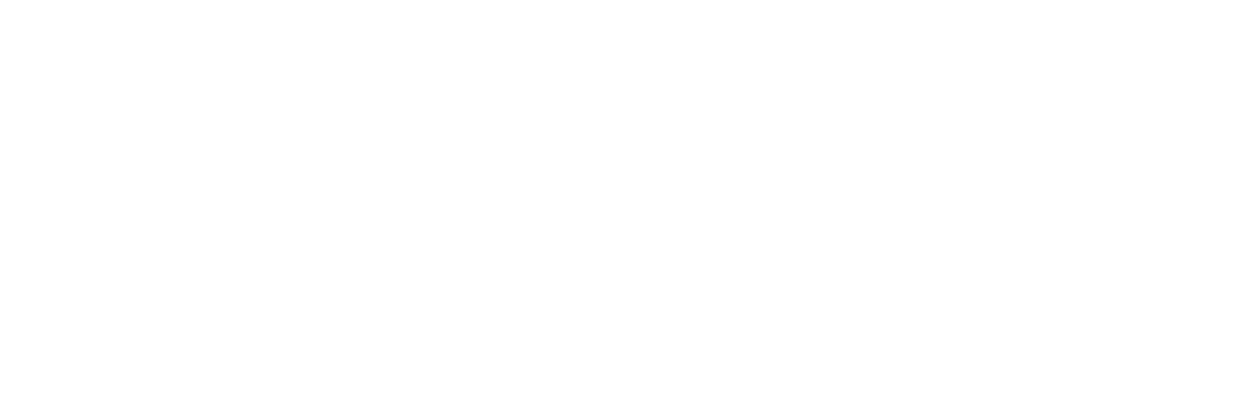 Eximius Logo